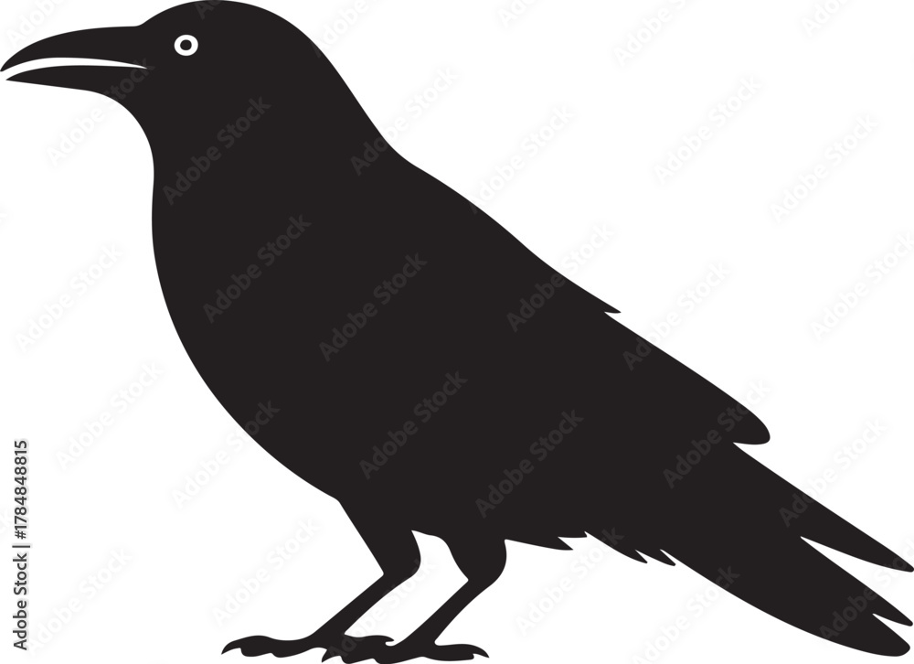 Fototapeta premium Black vector graphic silhouette of a bird with its head pointed downwards in a foraging or pecking pose