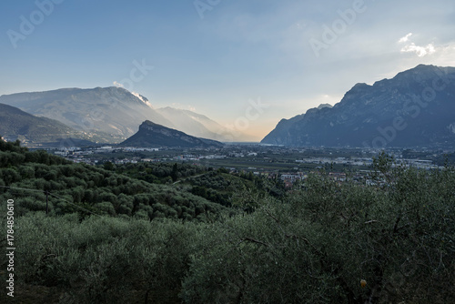 view across olive groves towards Monte Brione and Lake Garda, natural summer landscape with Mediterranean vegetation and distant blue water, high-resolution