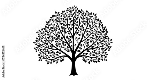 Black silhouette of a lush, leafy tree with many branches against a white background.