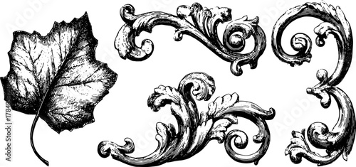 Leaf and vine ornament in black and white. Detailed vector illustration with intricate floral design elements set in an elegant style.