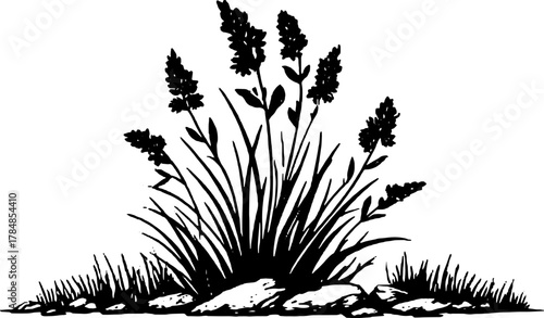 Vintage botanical illustration of a grass plant silhouette with roots. This black and white vector illustration showcases nature's beauty and detail.