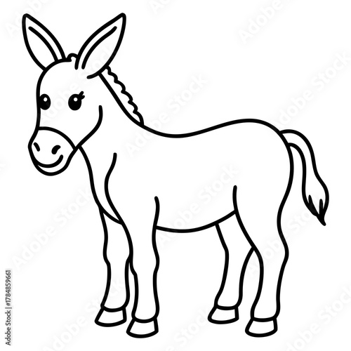 black and white horse