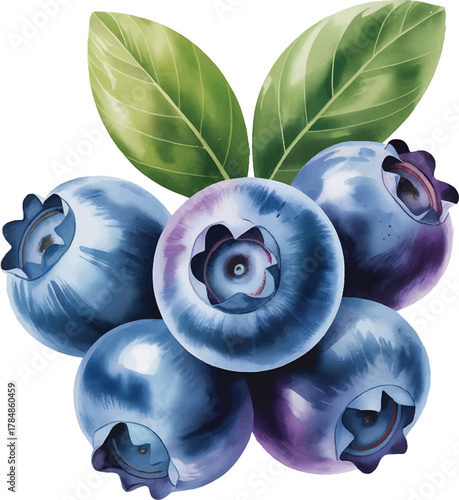 blueberries Fresh watercolor with green leaves