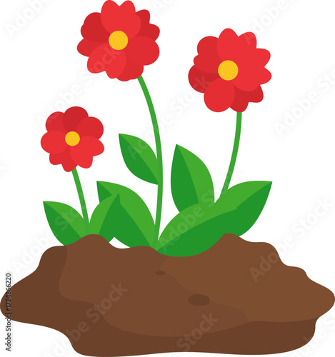 Three vibrant red flowers with yellow centers growing from rich brown soil.