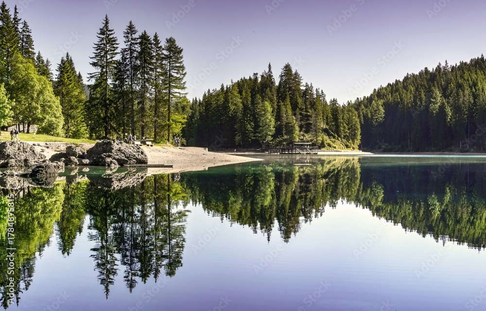 Fototapeta premium reflection of trees in the lake