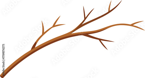 Bare brown tree branch with thin twigs against white background