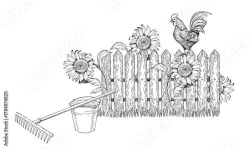 Composition of rooster on the fence, sunflowers, bucket, and rake. Vector ink styled handmade illustration. For packaging design, cards, cover, prints, product labels and fabric.