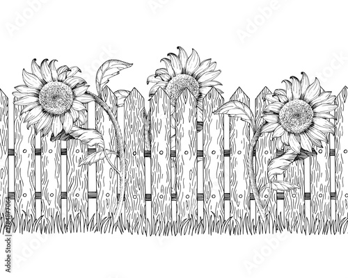 Seamless border of sunflowers growing near the fence. Vector ink styled handmade illustration. For packaging design, cards, cover, prints, product labels and fabric.