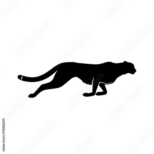Silhouette of a cheetah in motion, showcasing its sleek physique and powerful stride.