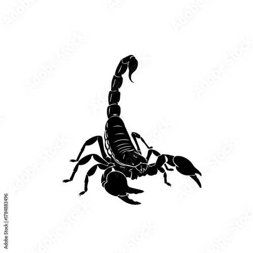 Black and white illustration of a scorpion with its tail curved upwards, isolated on white.