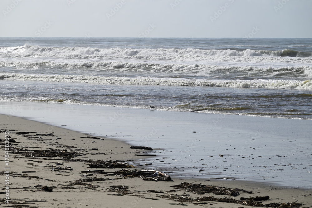 Fototapeta premium Mediterranean Beach at Tore del lago Puccini. Autumn sky with little sun. Reflections in water.