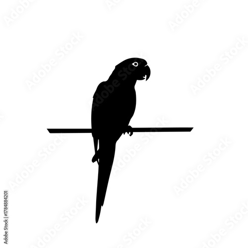 Silhouette of a parrot perched on a horizontal bar against a white background.