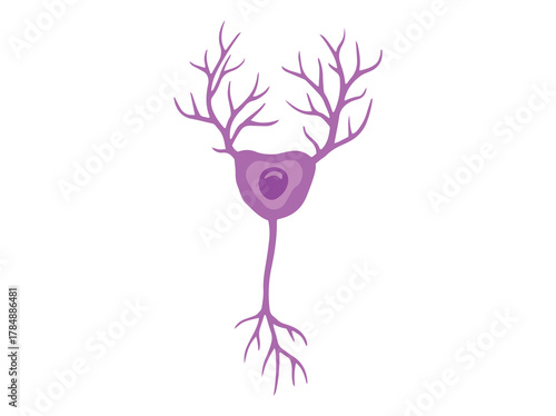 Purkinje Neuron Cell Clip Art