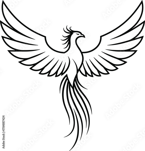 Phoenix line art, black and white drawing, mythological bird illustration, wings spread, elegant feathers, rebirth symbol, vector sketch