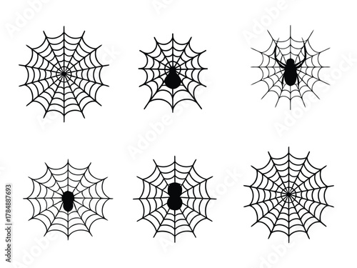Collection of Black and White Spider Webs with Spiders