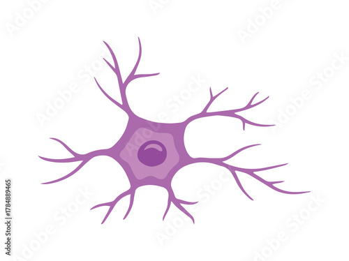 Anaxotic Neuron Cell Clip Art