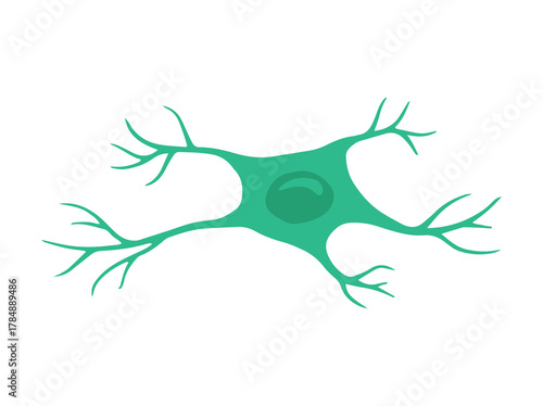 Anaxotic Neuron Cell Clip Art