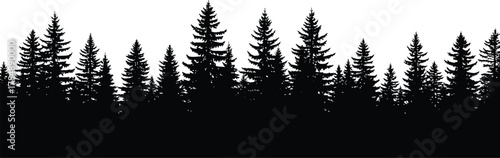 Dark silhouette of a dense evergreen forest against a bright white background