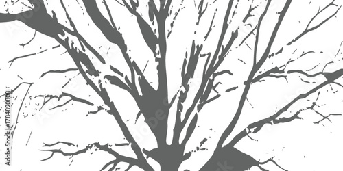 Graphic bare tree branches silhouette, organic and natural design element.