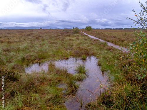 Bild auf Leinwand Raised bog habitat at Glasson Moss, Cumbria, England