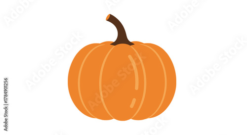 A simple, cartoonish orange pumpkin with a dark brown stem sits centered against a clean white backdrop. Its form is perfectly round
