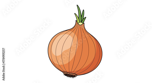 Illustration of a whole onion, brown skin with vertical lines, green sprouts at top and white background