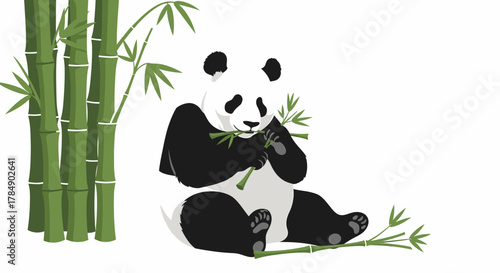 panda and bamboo