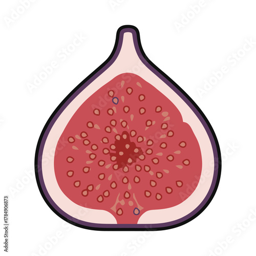 a minimalist modern vector icon of a ripe fig, using plum purple, rosy pink, and muted brown hues, isolated on a solid white background.