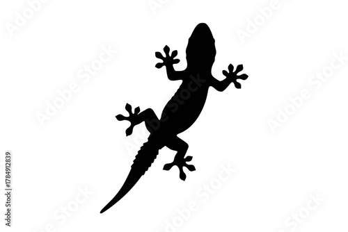 silhouette of a lizard isolated on a white background