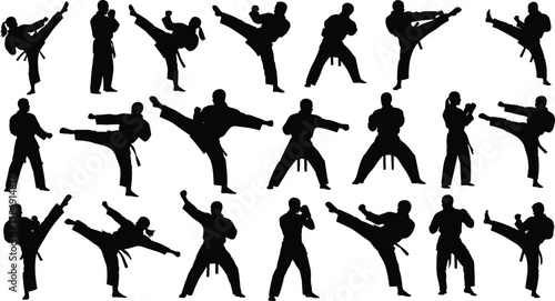 Martial arts silhouette collection, karate kick and fight poses vector design, training and self defense illustration set, fitness activity icons, cad drawing flat vector illustration