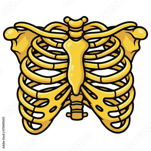 Cartoon Golden Yellow Rib Cage Anatomy Skeleton Design Isolated White Background