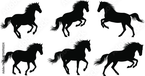 Running horse silhouettes collection, galloping wild horses vector illustration, animal power design, equine motion artwork, black stallion icons set, cad drawing flat vector illustration