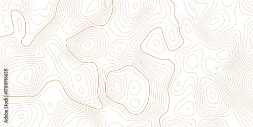 Topographic Contour Art in the Style of Classic Surveyor Maps with Rustic Linework, Organic Earth Tones, and a Strong Connection to Natural Geography. white background topo.