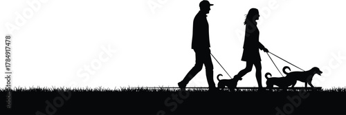 Silhouette of man and woman walking dogs outdoors on grass, symbol of love, companionship, fitness, lifestyle, and relaxation