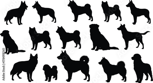 Silhouette collection of different dog breeds, group of pets standing and sitting, black animal vector illustration, domestic canine friendship art
