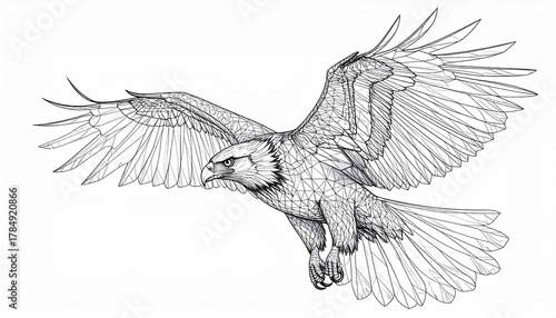 Dynamic line art illustration of a powerful raptor in mid-flight, capturing the untamed spirit and natural elegance of a majestic bird of prey with widespread wings