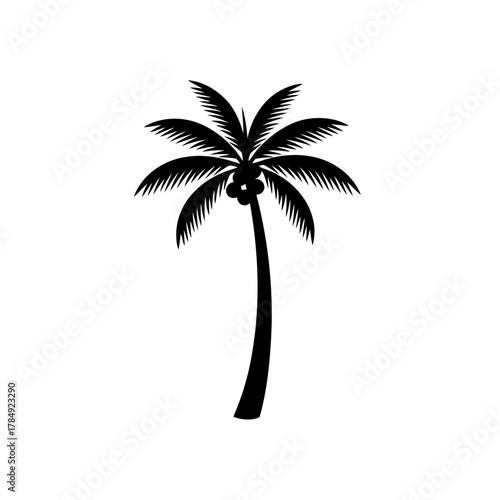 Palm tree silhouette icon vector