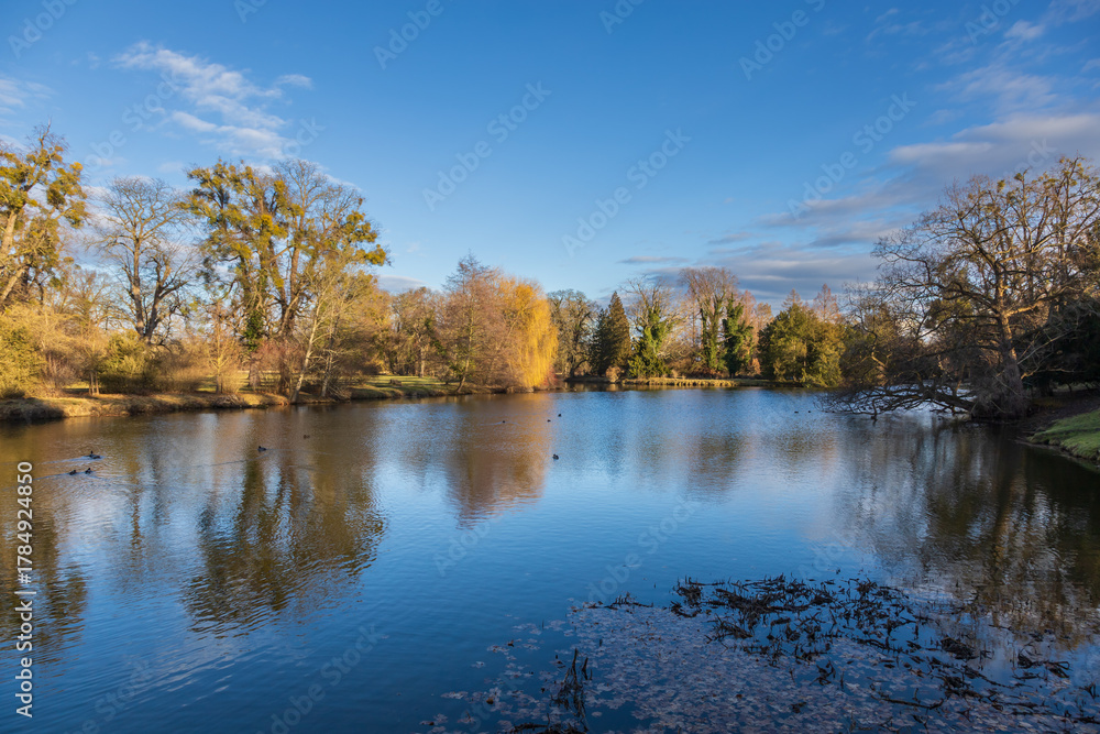 Obraz premium Late Autumn/Early Winter Scene by a Pond in a Historic Park: Reflections of Bare Trees and Willows in the Water on a Clear Day