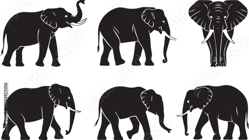 Set of Elephant SIlhouette Illustrator Artwork