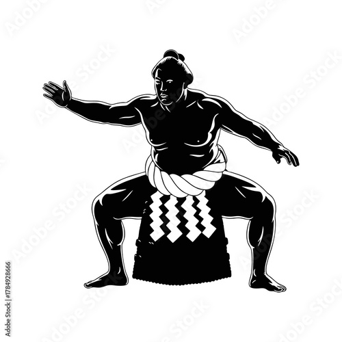 Silhouette of a sumo wrestler against a white background