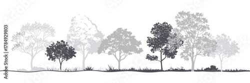 Side-View Architectural Tree Set – Minimal CAD Forest Line Drawings for Wetland Sections, Landscape Plans, Garden Design and Vector Nature Illustration