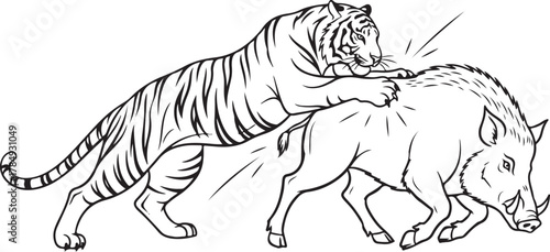 Dynamic Line Art Illustration of a Tiger Attacking a Wild Boar