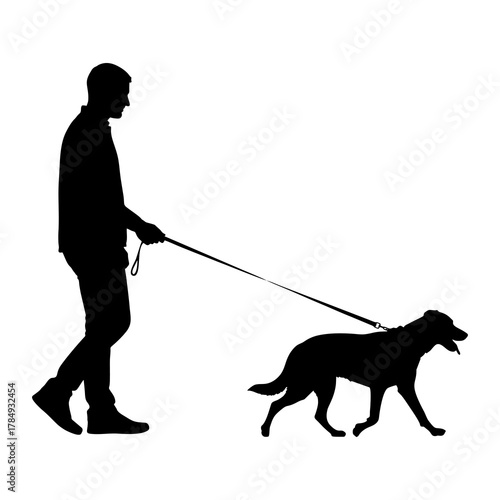 The silhouette of a man walking with his pet dog.