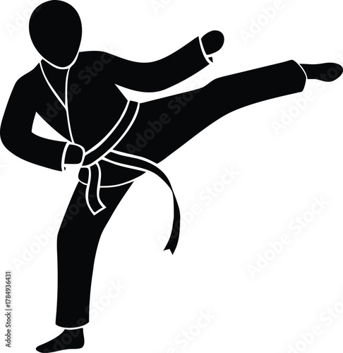 Karate Silhouette  A dynamic silhouette captures the focused intensity of a martial artist executing a powerful kick, showcasing strength, precision, and discipline.