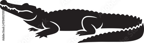 The Majestic Alligator: A striking silhouette of an alligator captures its formidable presence, showcasing its powerful form in a stark, captivating display.