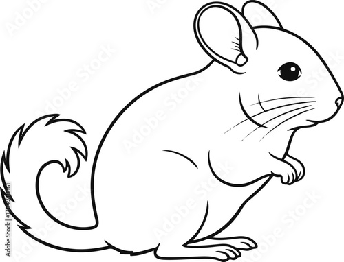 A black and white line drawing of a chinchilla standing on its hind legs in a side profile view