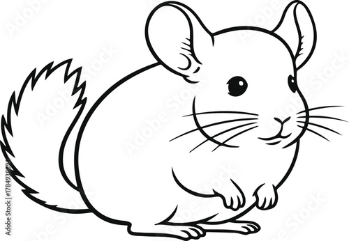 A simple line drawing of a chinchilla with large ears and a fluffy tail on a white background space