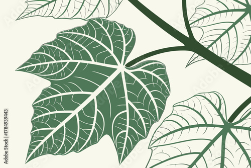 Green Leaves and Branch on Light Cream Background leaf