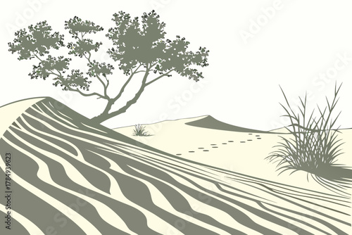 Desert landscape with sparse vegetation and footprints