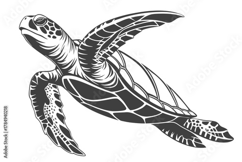 Sea Turtle Swimming In Dark Grey marine life ocean
